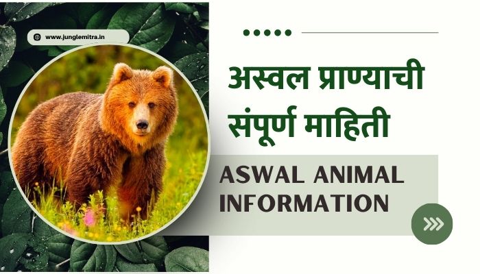Aswal Animal Information in Marathi