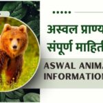 Aswal Animal Information in Marathi