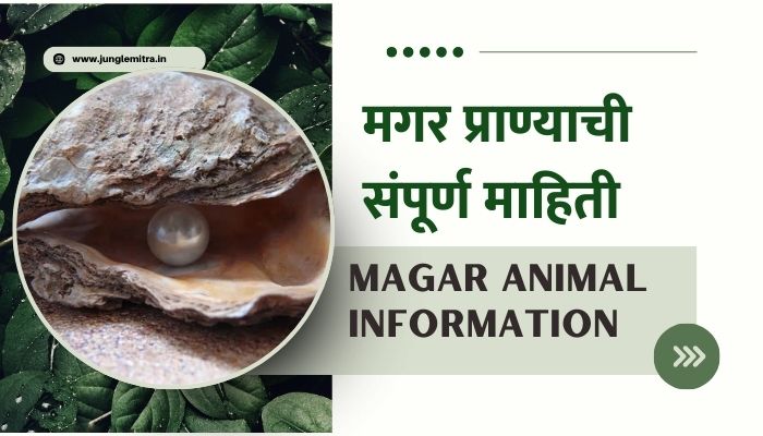 Magar Animal Information In Marathi