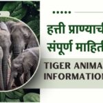 Elephant Information In Marathi