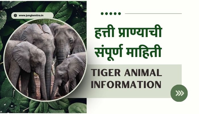 Elephant Information In Marathi
