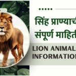 Information about Lion Animal in Marathi