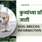 Dog Breeds Information In Marathi